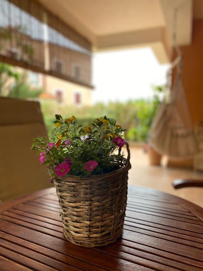 Apartman Rose-2025 Renovated Garden View 波雷奇 外观 照片