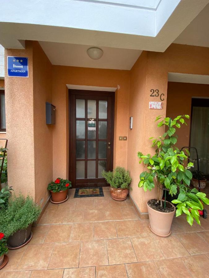 Apartman Rose-2025 Renovated Garden View 波雷奇 外观 照片